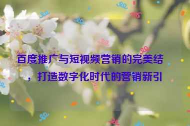 百度推廣與短視頻營銷的完美結(jié)合，打造數(shù)字化時代的營銷新引擎