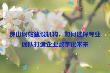 佛山網(wǎng)站建設(shè)機(jī)構(gòu)，如何選擇專業(yè)團(tuán)隊(duì)打造企業(yè)數(shù)字化未來(lái)
