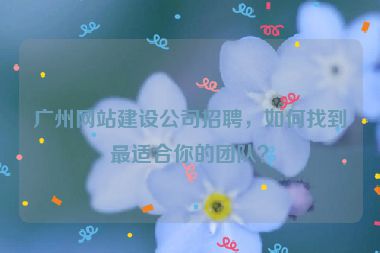 廣州網(wǎng)站建設(shè)公司招聘，如何找到最適合你的團(tuán)隊(duì)？