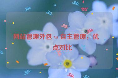 網(wǎng)站管理外包 vs 自主管理，優(yōu)缺點對比