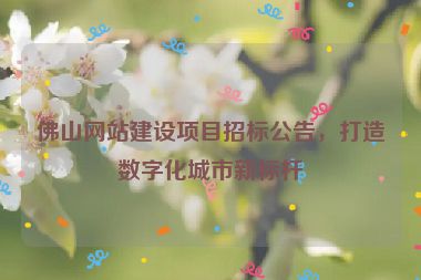 佛山網(wǎng)站建設(shè)項(xiàng)目招標(biāo)公告，打造數(shù)字化城市新標(biāo)桿