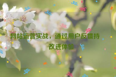 網(wǎng)站運(yùn)營(yíng)實(shí)戰(zhàn)，通過(guò)用戶反饋持續(xù)改進(jìn)體驗(yàn)
