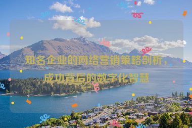 知名企業(yè)的網(wǎng)絡(luò)營銷策略剖析，成功背后的數(shù)字化智慧