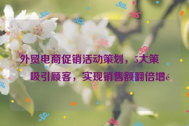 外貿(mào)電商促銷活動(dòng)策劃，5大策略吸引顧客，實(shí)現(xiàn)銷售額翻倍增長(zhǎng)