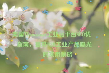 美國Thomasnet工業(yè)品平臺SEO優(yōu)化指南，提升B2B工業(yè)產(chǎn)品曝光率的實(shí)用策略