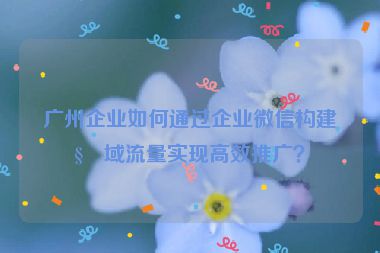 廣州企業(yè)如何通過(guò)企業(yè)微信構(gòu)建私域流量實(shí)現(xiàn)高效推廣？
