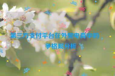 第三方支付平臺在外貿(mào)電商中的競爭格局分析