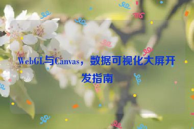 WebGL與Canvas，數(shù)據(jù)可視化大屏開發(fā)指南