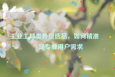 工業(yè)工具類外貿(mào)選品，如何精準(zhǔn)滿足專業(yè)用戶需求