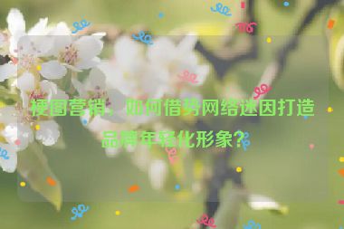 梗圖營銷，如何借勢網(wǎng)絡(luò)迷因打造品牌年輕化形象？