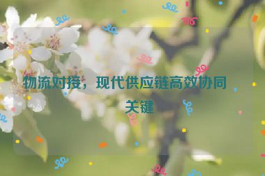 物流對接，現(xiàn)代供應(yīng)鏈高效協(xié)同的關(guān)鍵