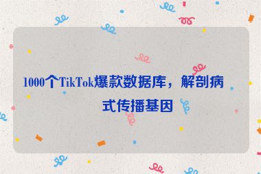 1000個(gè)TikTok爆款數(shù)據(jù)庫(kù)，解剖病毒式傳播基因