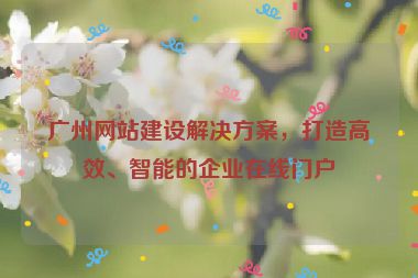 廣州網(wǎng)站建設(shè)解決方案，打造高效、智能的企業(yè)在線門戶