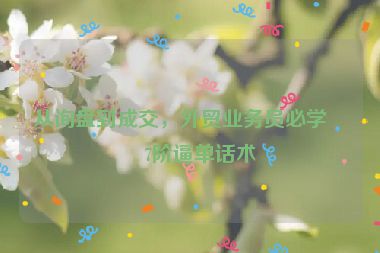 從詢盤到成交，外貿(mào)業(yè)務(wù)員必學(xué)的7階逼單話術(shù)