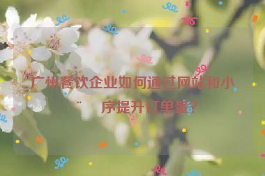 廣州餐飲企業(yè)如何通過(guò)網(wǎng)站和小程序提升訂單量？
