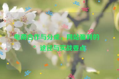 電商合作與分成，網(wǎng)站盈利的新途徑與實戰(zhàn)要點