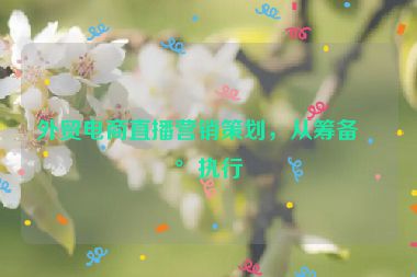 外貿(mào)電商直播營銷策劃，從籌備到執(zhí)行
