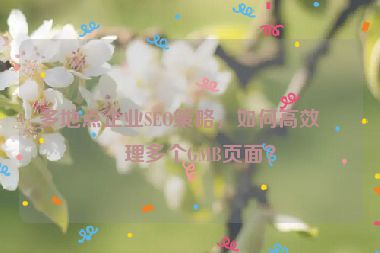 多地點(diǎn)企業(yè)SEO策略，如何高效管理多個(gè)GMB頁(yè)面？