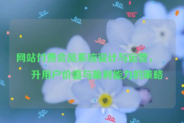 網(wǎng)站付費(fèi)會(huì)員系統(tǒng)設(shè)計(jì)與運(yùn)營(yíng)，提升用戶價(jià)值與盈利能力的策略