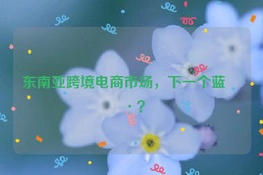 東南亞跨境電商市場，下一個藍(lán)海？