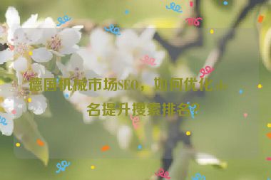 德國(guó)機(jī)械市場(chǎng)SEO，如何優(yōu)化.de域名提升搜索排名？