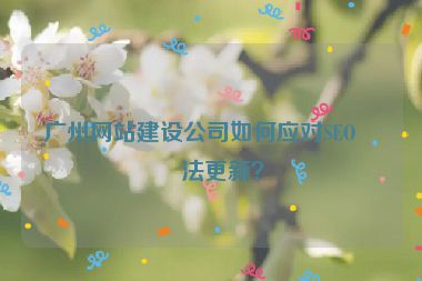 廣州網(wǎng)站建設(shè)公司如何應(yīng)對SEO算法更新？