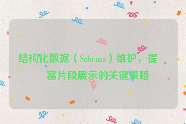 結(jié)構(gòu)化數(shù)據(jù)（Schema）維護(hù)，提升富片段展示的關(guān)鍵策略
