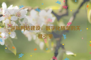 深圳網(wǎng)站建設(shè)，數(shù)字化轉(zhuǎn)型的關(guān)鍵引擎