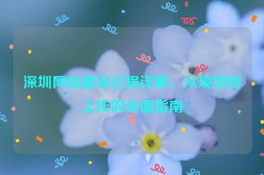 深圳網(wǎng)站建設(shè)過(guò)程詳解，從規(guī)劃到上線的全面指南