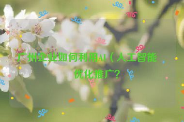 廣州企業(yè)如何利用AI（人工智能）優(yōu)化推廣？