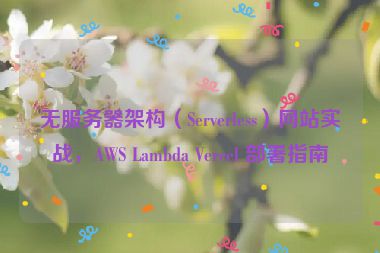 無服務(wù)器架構(gòu)（Serverless）網(wǎng)站實(shí)戰(zhàn)，AWS Lambda Vercel 部署指南