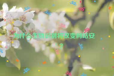 為什么生物識別將改變網(wǎng)站安全？
