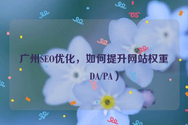 廣州SEO優(yōu)化，如何提升網(wǎng)站權重（DA/PA）