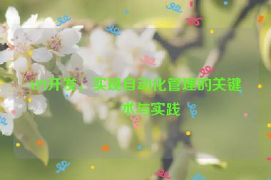 API開(kāi)發(fā)，實(shí)現(xiàn)自動(dòng)化管理的關(guān)鍵技術(shù)與實(shí)踐