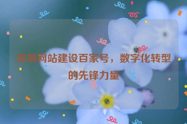 深圳網(wǎng)站建設(shè)百家號，數(shù)字化轉(zhuǎn)型的先鋒力量