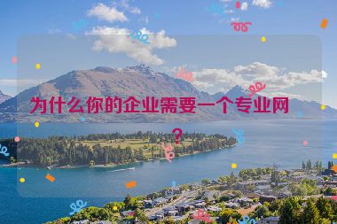 為什么你的企業(yè)需要一個專業(yè)網站？