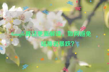 Google算法更新解讀，如何避免網(wǎng)站排名暴跌？