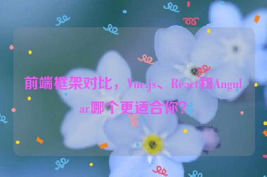 前端框架對(duì)比，Vue.js、React和Angular哪個(gè)更適合你？
