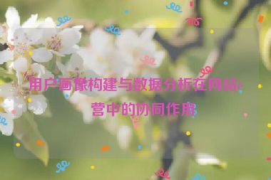 用戶(hù)畫(huà)像構(gòu)建與數(shù)據(jù)分析在網(wǎng)站運(yùn)營(yíng)中的協(xié)同作用