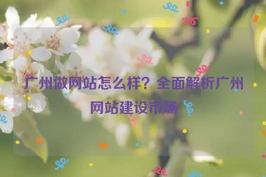 廣州做網(wǎng)站怎么樣？全面解析廣州網(wǎng)站建設市場