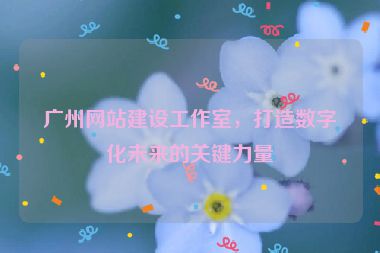 廣州網(wǎng)站建設(shè)工作室，打造數(shù)字化未來的關(guān)鍵力量