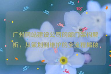 廣州網(wǎng)站建設(shè)公司的部門架構(gòu)解析，從策劃到維護(hù)的全流程揭秘