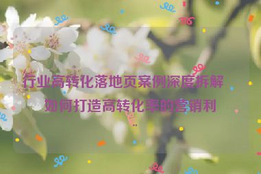 行業(yè)高轉化落地頁案例深度拆解，如何打造高轉化率的營銷利器