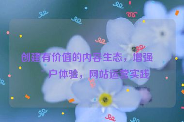 創(chuàng)建有價(jià)值的內(nèi)容生態(tài)，增強(qiáng)用戶體驗(yàn)，網(wǎng)站運(yùn)營(yíng)實(shí)踐