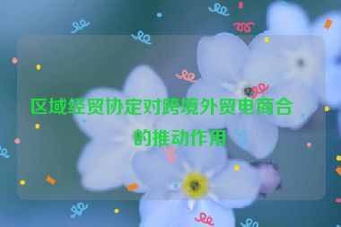區(qū)域經(jīng)貿(mào)協(xié)定對跨境外貿(mào)電商合作的推動(dòng)作用