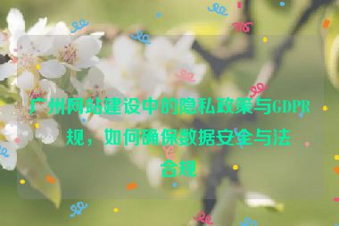 廣州網(wǎng)站建設(shè)中的隱私政策與GDPR合規(guī)，如何確保數(shù)據(jù)安全與法律合規(guī)