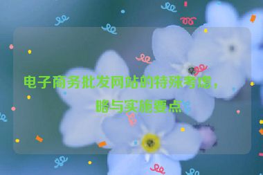 電子商務(wù)批發(fā)網(wǎng)站的特殊考慮，策略與實施要點