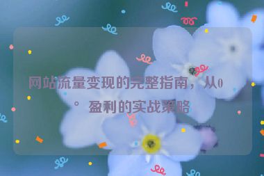 網(wǎng)站流量變現(xiàn)的完整指南，從0到盈利的實戰(zhàn)策略