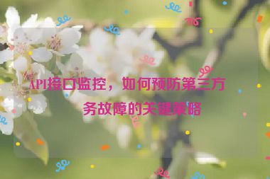 API接口監(jiān)控，如何預(yù)防第三方服務(wù)故障的關(guān)鍵策略