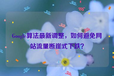 Google算法最新調(diào)整，如何避免網(wǎng)站流量斷崖式下跌？